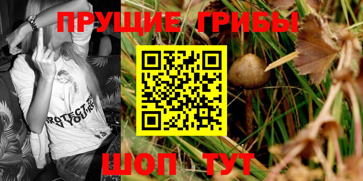 Псилоцибиновые грибы Magic Shrooms Вышний Волочёк