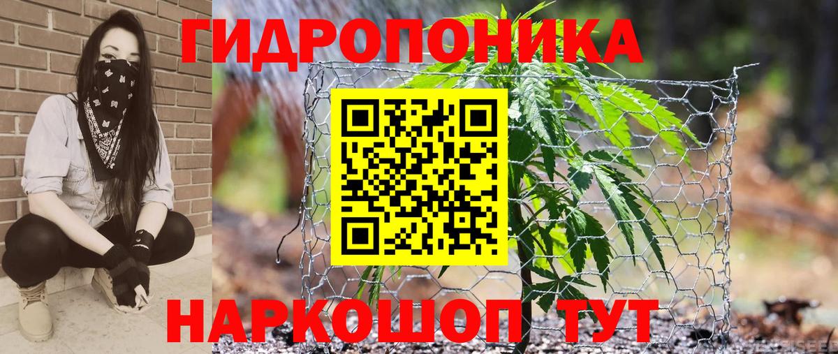 Вышний Волочёк  Бошки Шишки план  Канабис индика  Каннабис LSD WEED  Марихуана тримм  Вход с VPN 
